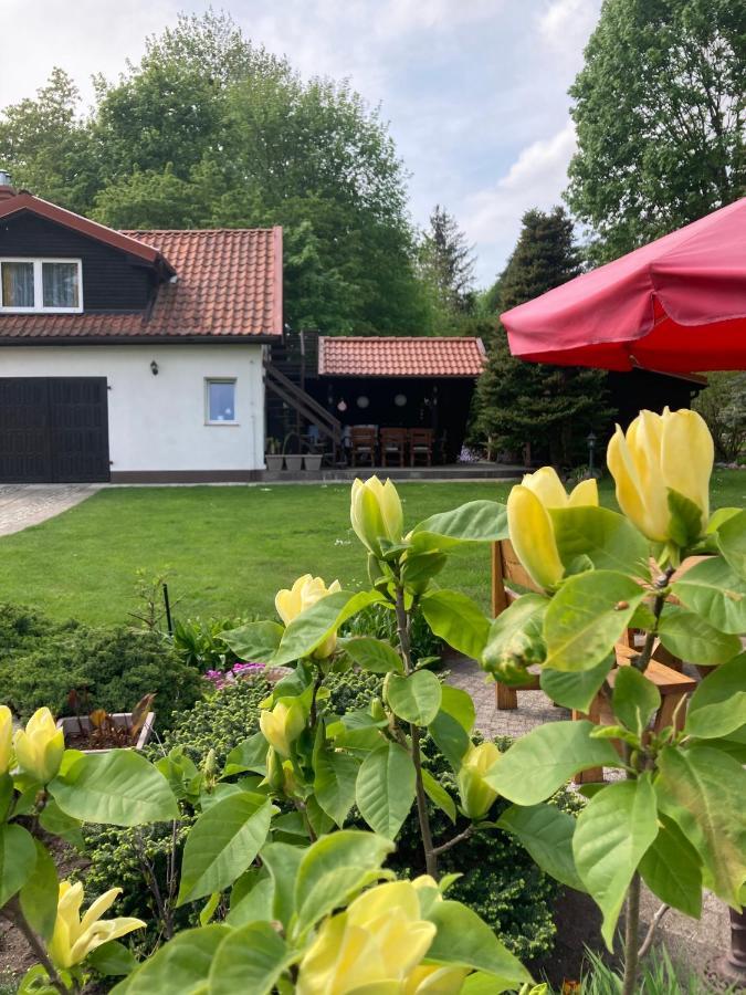 Appartamento Magnolia Kruklanki Esterno foto