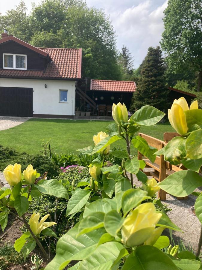 Appartamento Magnolia Kruklanki Esterno foto